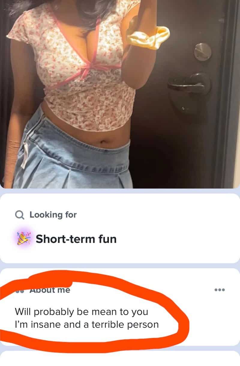 Dating profile for short term fun whose bio warns she'll probably be mean to you.