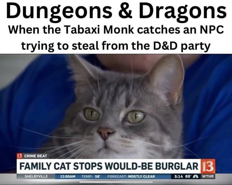 DnD memes news clip about a family cat stopping a burglar, compared to a Tabaxi monk.