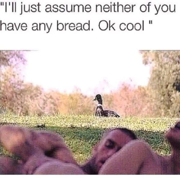 Couple in an intimate moment on park grass while a duck watches, with a bread joke