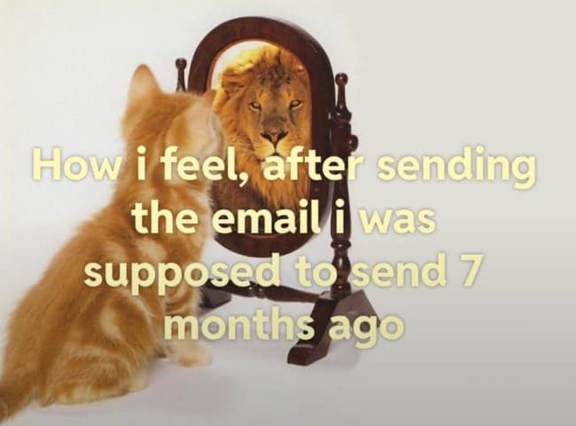 Kitten looking into a mirror and seeing a lion, about finally sending an overdue email.
