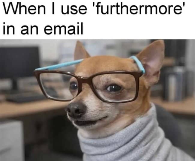 Chihuahua wearing glasses and a turtleneck captioned using furthermore in an email.