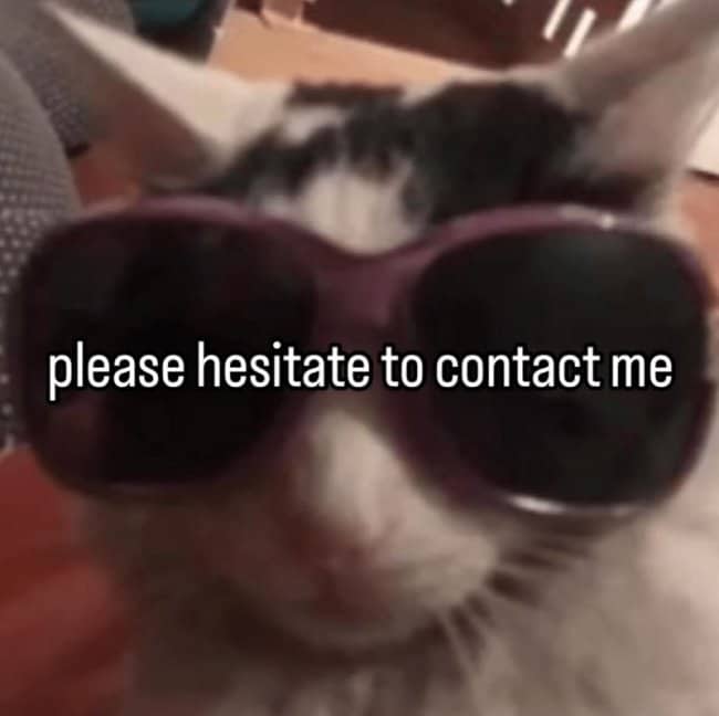 Blurry cat in oversized sunglasses captioned please hesitate to contact me.