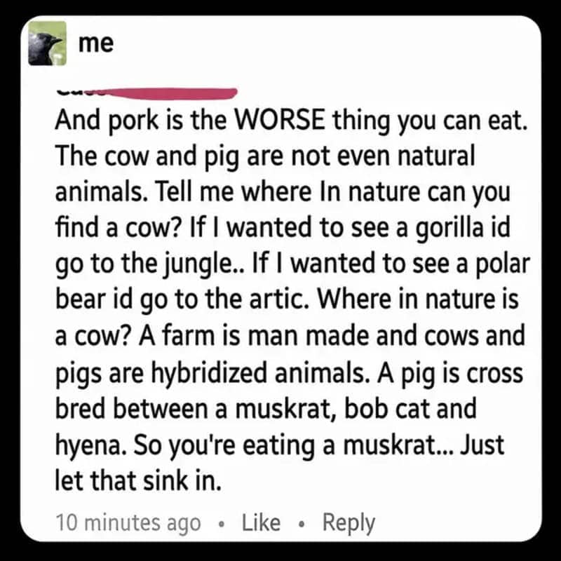 Rambling comment claiming cows and pigs are unnatural hybrids bred from muskrats, bobcats, and hyenas.