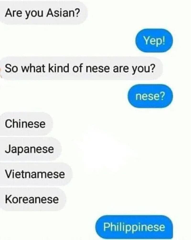 Text conversation asking what kind of 'nese' an Asian person is, answered with 'Philippinese.'