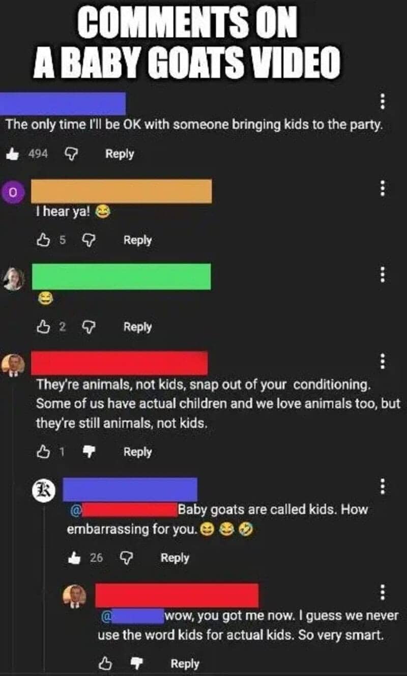 Video comments on a baby goat clip where someone angrily insists goats are not kids.