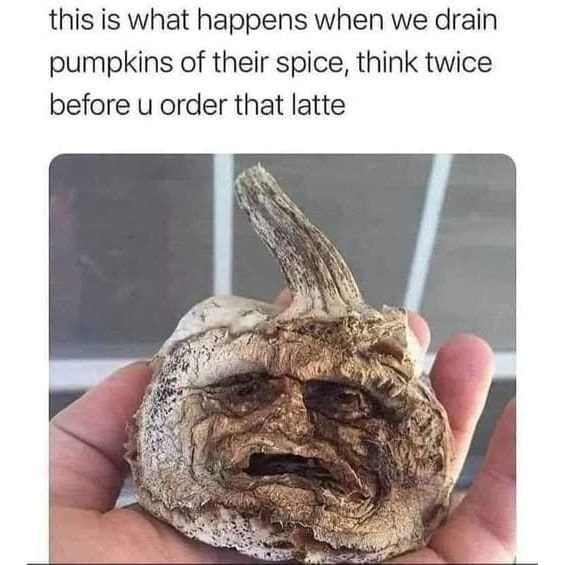 Shriveled, dried-out pumpkin that looks like a sad old face, joked as drained of spice.