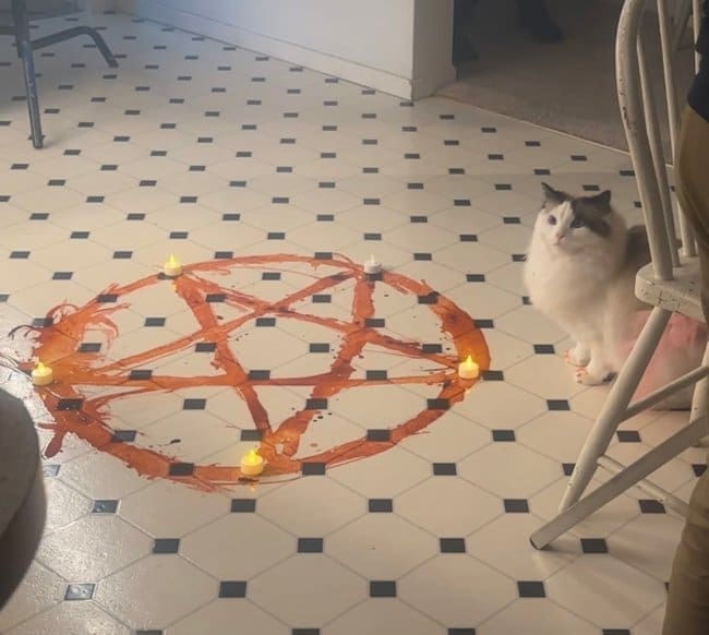 Fluffy cat sitting beside a ketchup pentagram with candles on a kitchen floor.