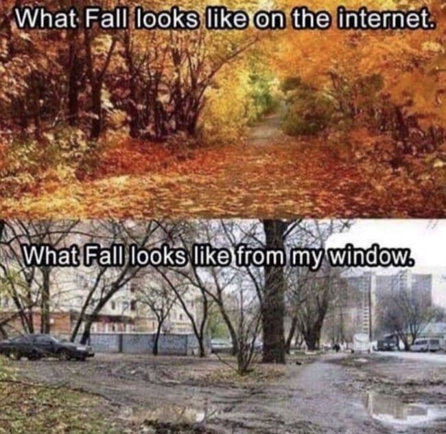 Golden autumn forest path online compared with a muddy, bare courtyard outside someone's window.