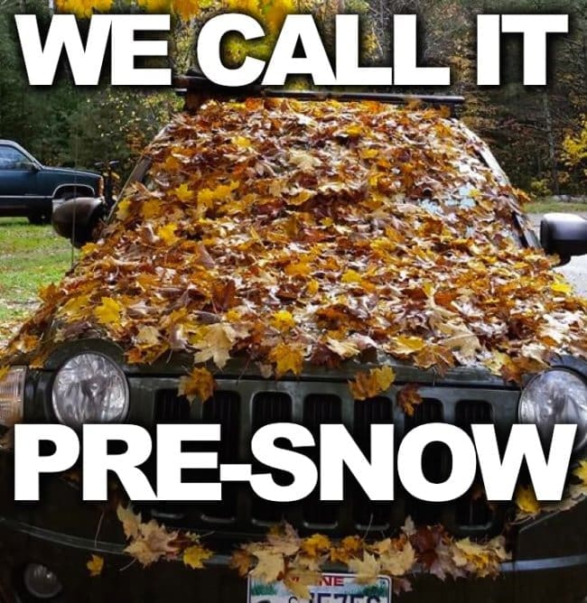 Car hood covered in fallen leaves with text calling it pre-snow.