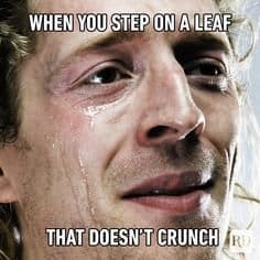 Crying man captioned when you step on a leaf that doesn't crunch.