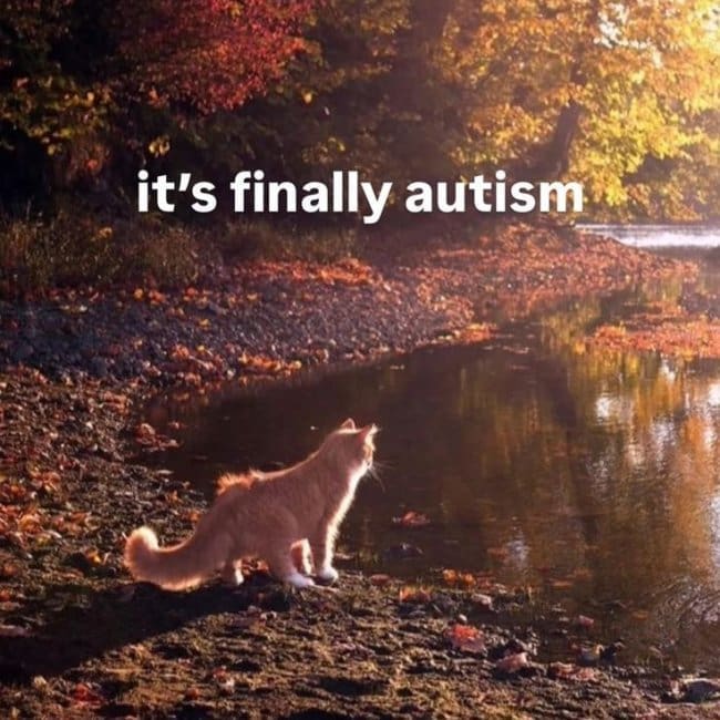 Orange cat on a riverbank among autumn leaves with a wordplay caption about the season.