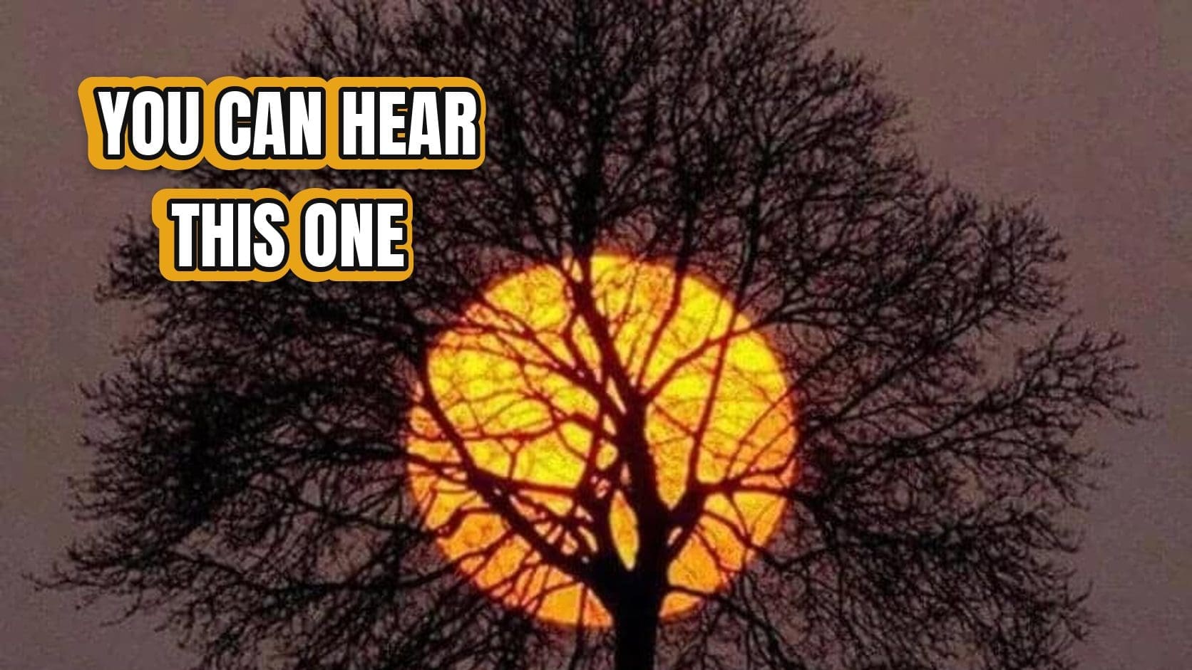 Funny comments post showing a lone tree silhouetted against a huge orange sunset, the kind of photo that summons a famous movie chant.