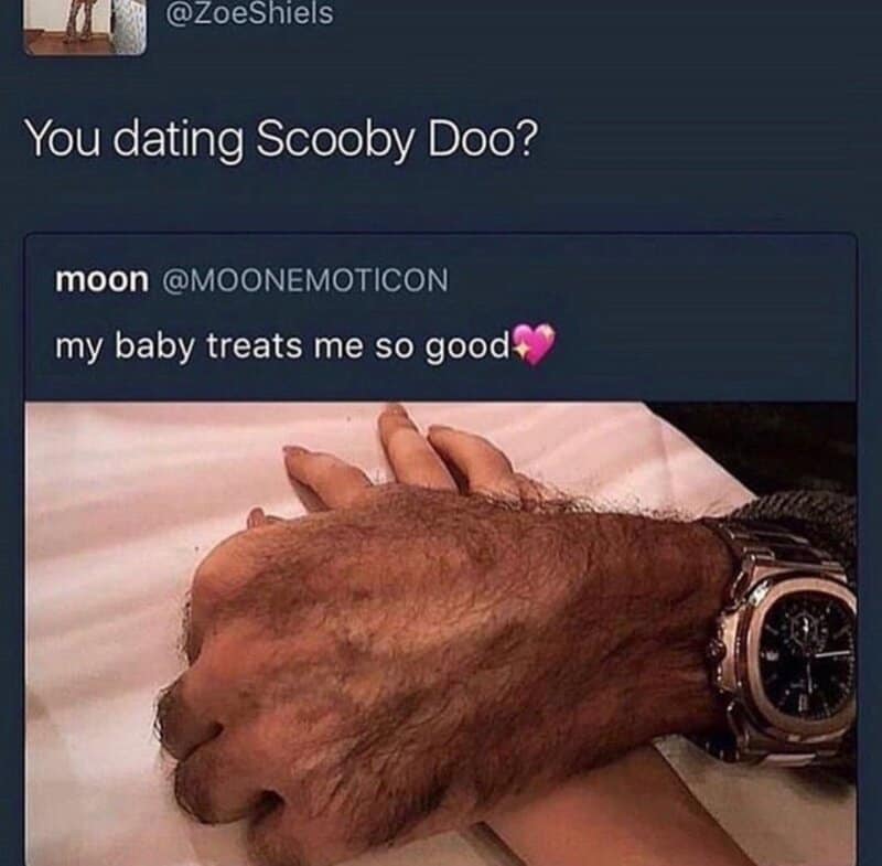 Tweet asking if someone is dating Scooby Doo, replying to a photo of a very hairy hand.