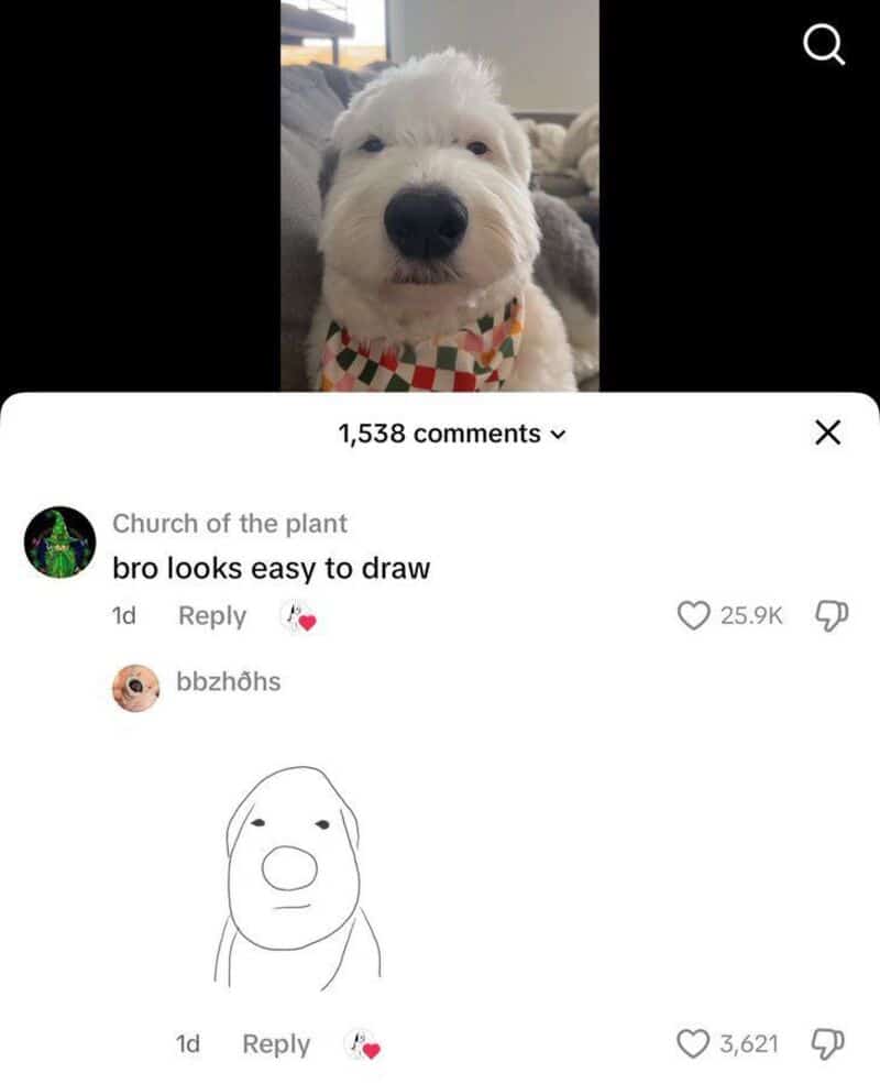 Fluffy white dog in a checkered bandana, with a reply showing a simple, spot-on line drawing.