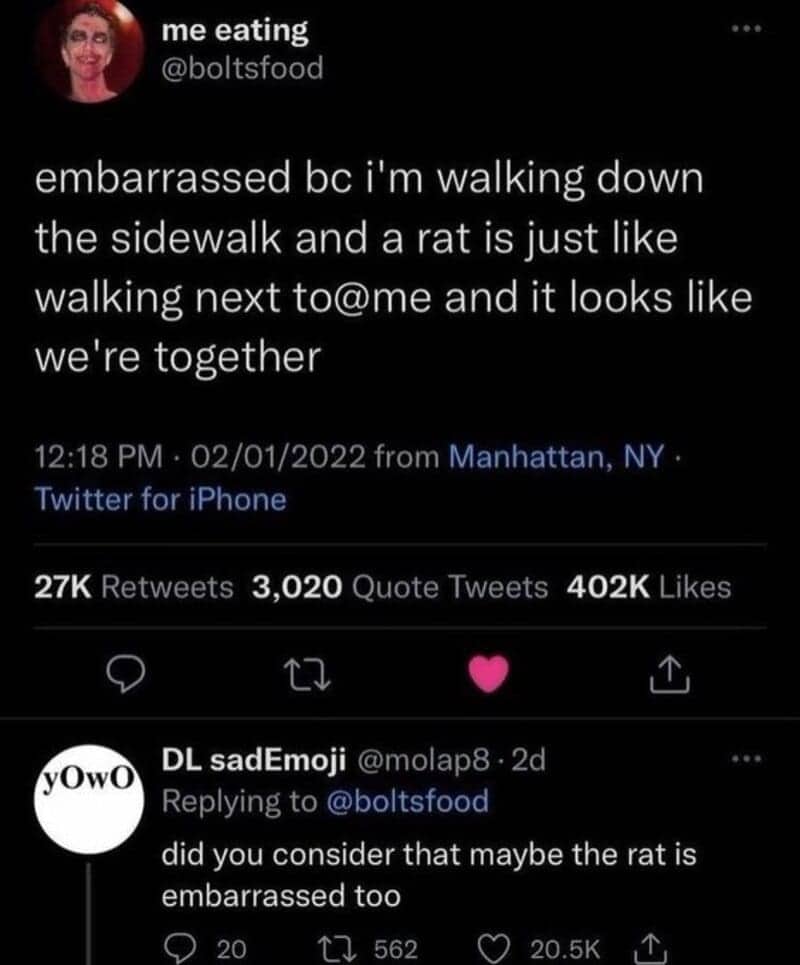 Tweet about a rat walking alongside someone on a sidewalk, with a reply about the rat's embarrassment.