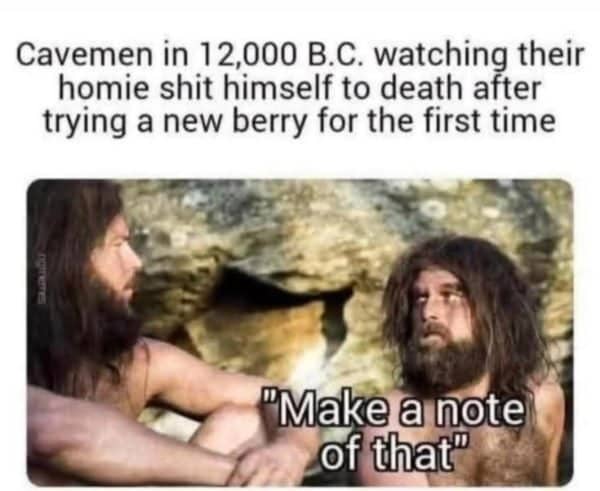 Cavemen meme about early humans learning which berries were dangerous by watching an unlucky friend.