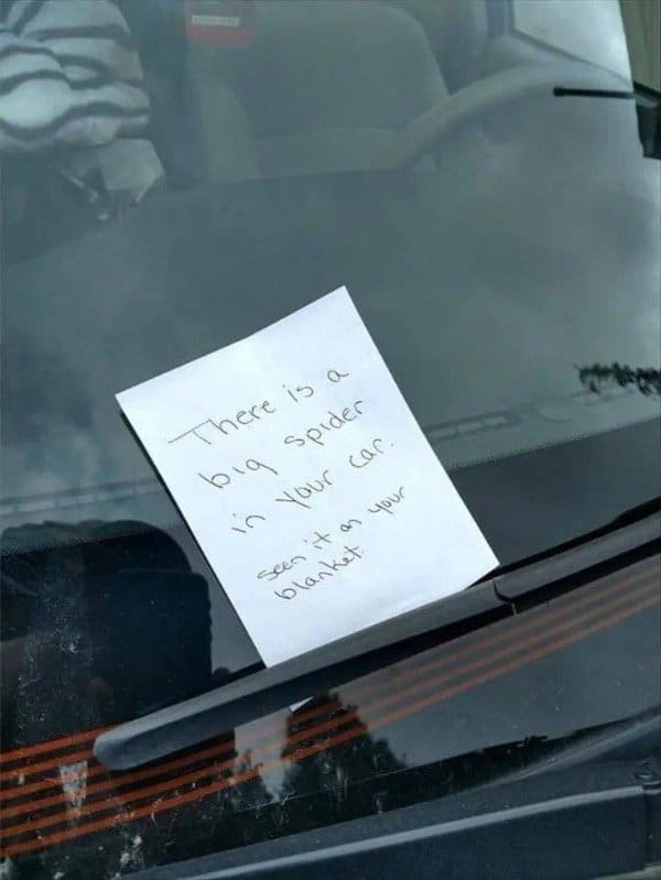 Handwritten note on a windshield warning the driver about a big spider on their blanket.
