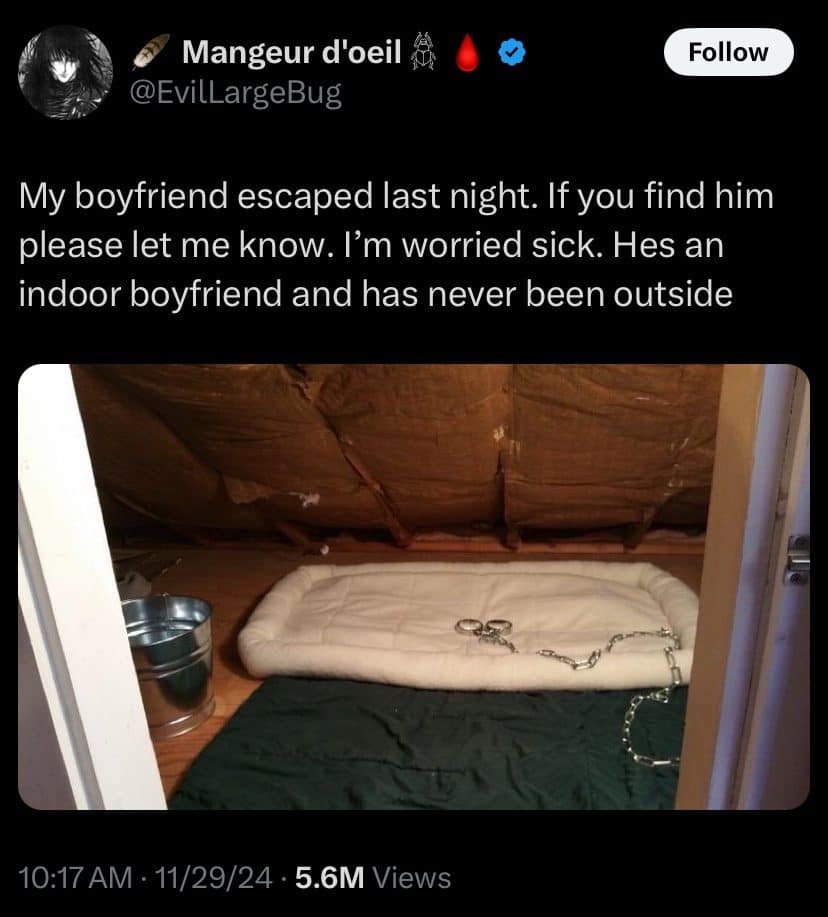 Tweet joking about a missing indoor boyfriend, with a pet bed and chain in an attic