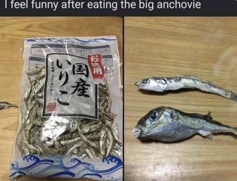 Bag of dried anchovies next to one surprise pufferfish in this meme dump, feeling funny