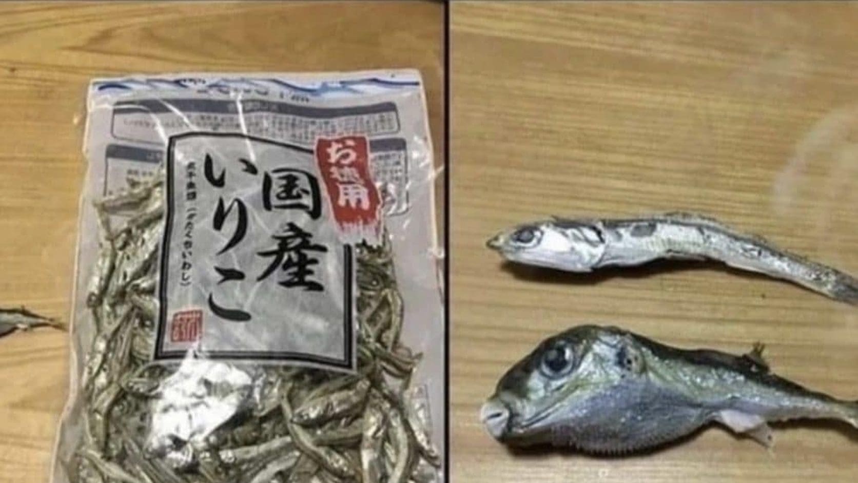 Meme dump featured photo of a bag of dried anchovies beside a single puffed-up pufferfish on a wooden table