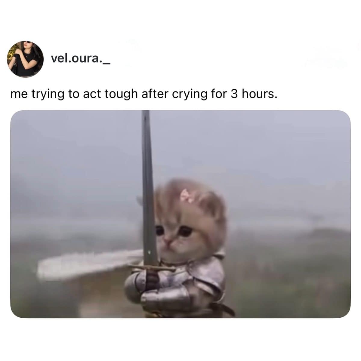 Tiny kitten in a suit of armor holding a sword, captioned acting tough after crying.