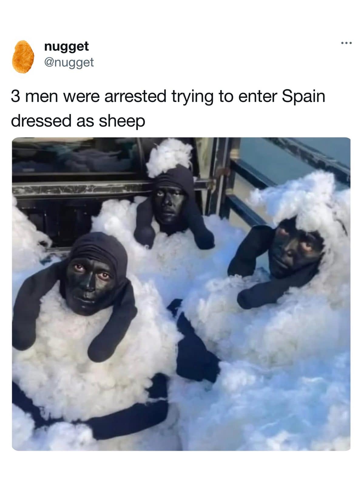 Tweet claiming three men were caught entering Spain dressed in fluffy sheep costumes.