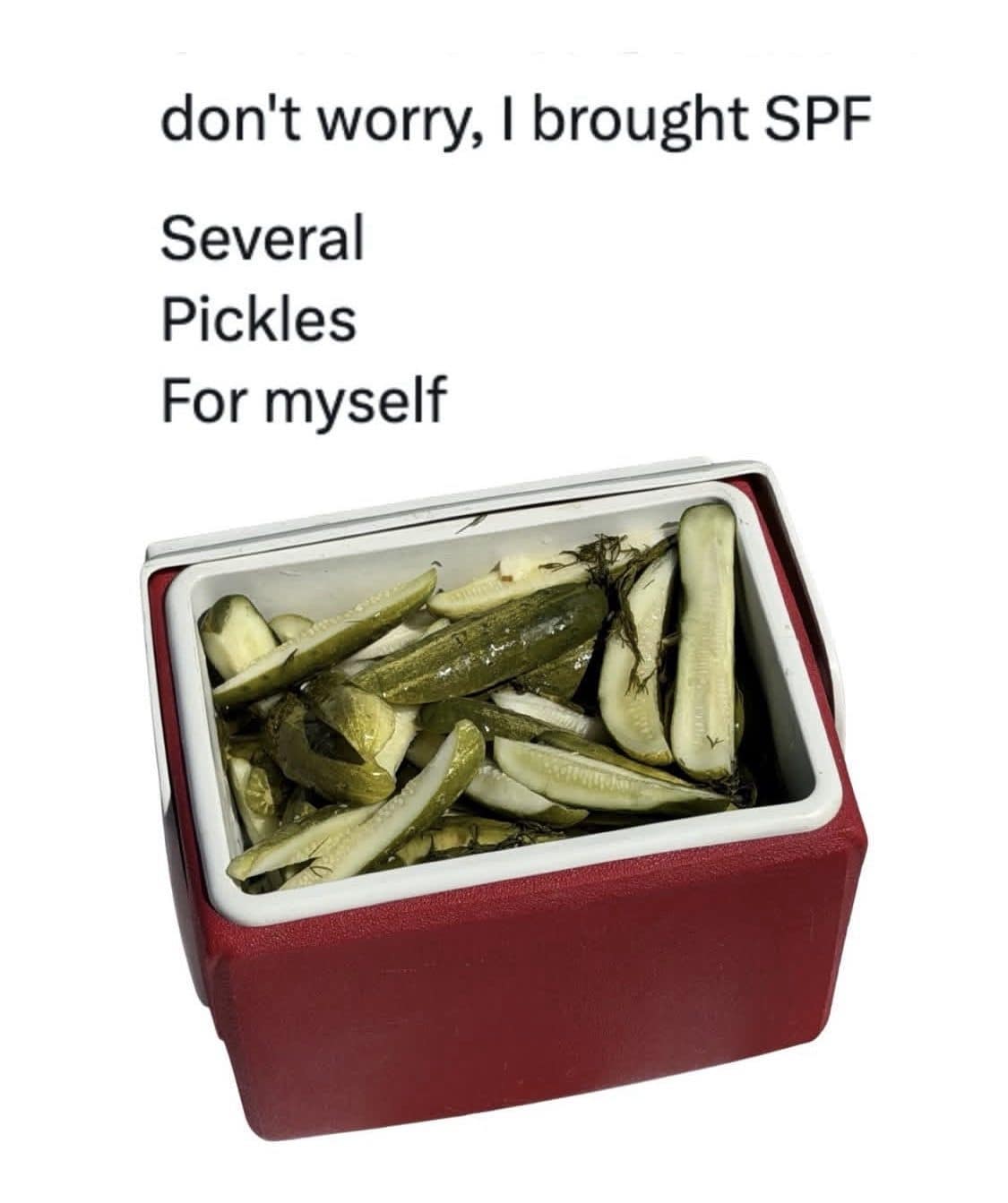 Red cooler packed with pickle spears, captioned I brought SPF: several pickles for myself.