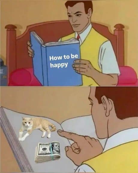 Meme dump cartoon of a man reading how to be happy and finding a cat and cash.