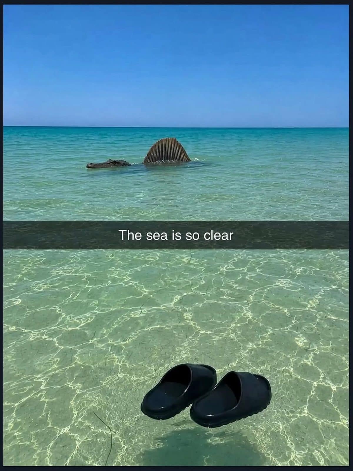 Snapchat of clear sea water with a spinosaurus swimming in the distance past floating sandals.