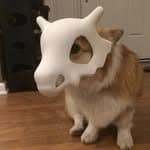 Tiny photo of a corgi wearing a Cubone skull mask from Pokemon.
