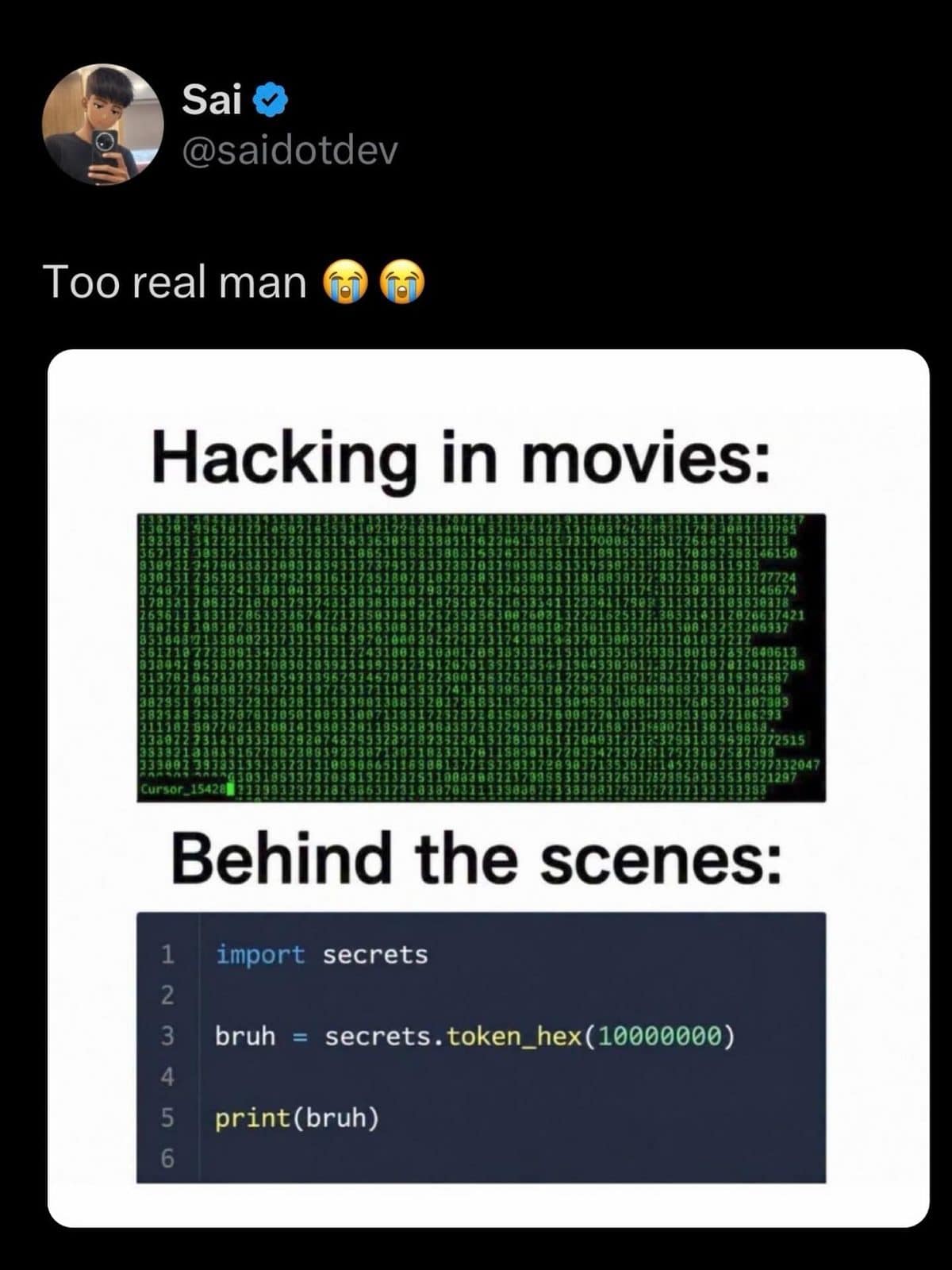 Meme dump comparison of hacking in movies versus a short Python script behind the scenes.