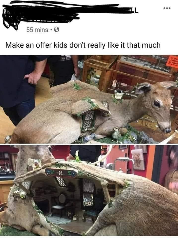 Meme dump marketplace post selling a taxidermy deer with a tiny house built inside