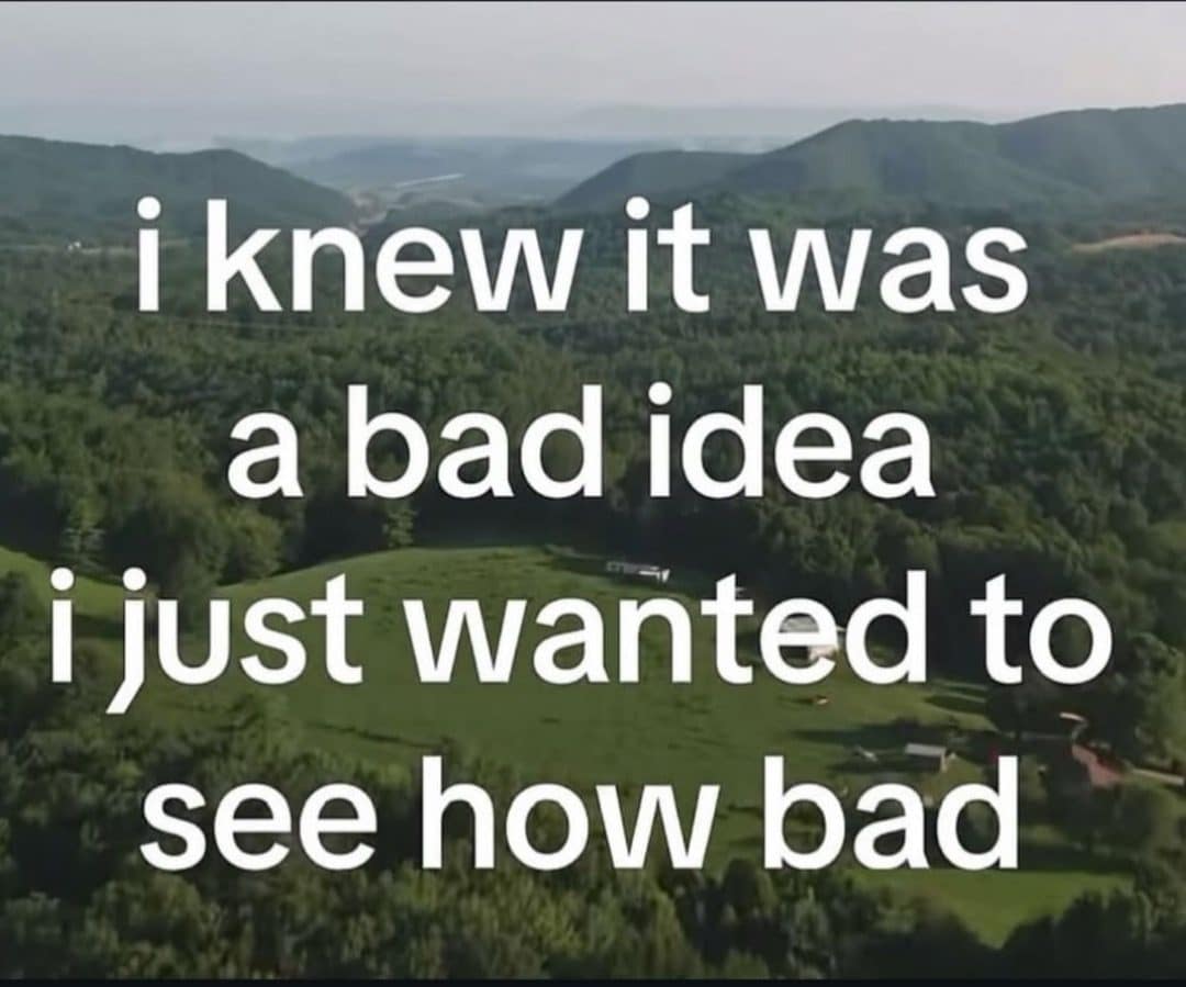 Green valley with text saying I knew it was a bad idea, I wanted to see how bad