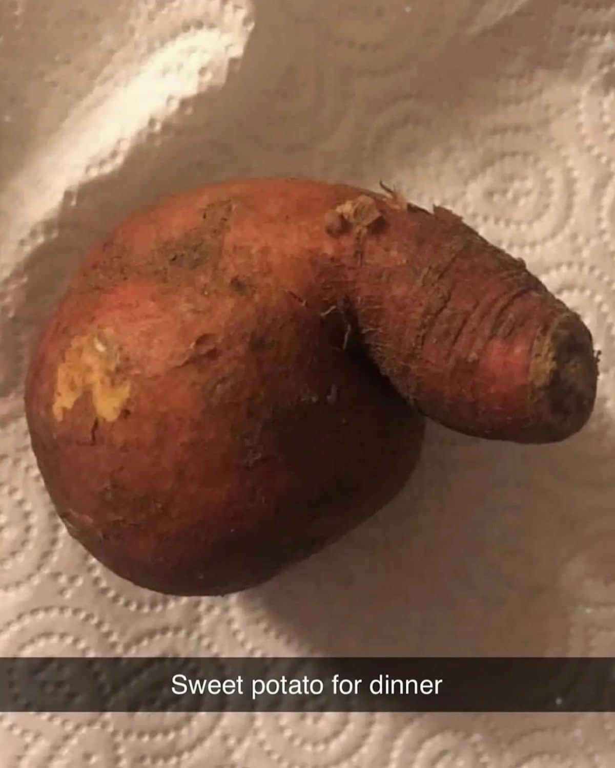 Oddly shaped sweet potato on a paper towel, captioned as tonight's dinner.