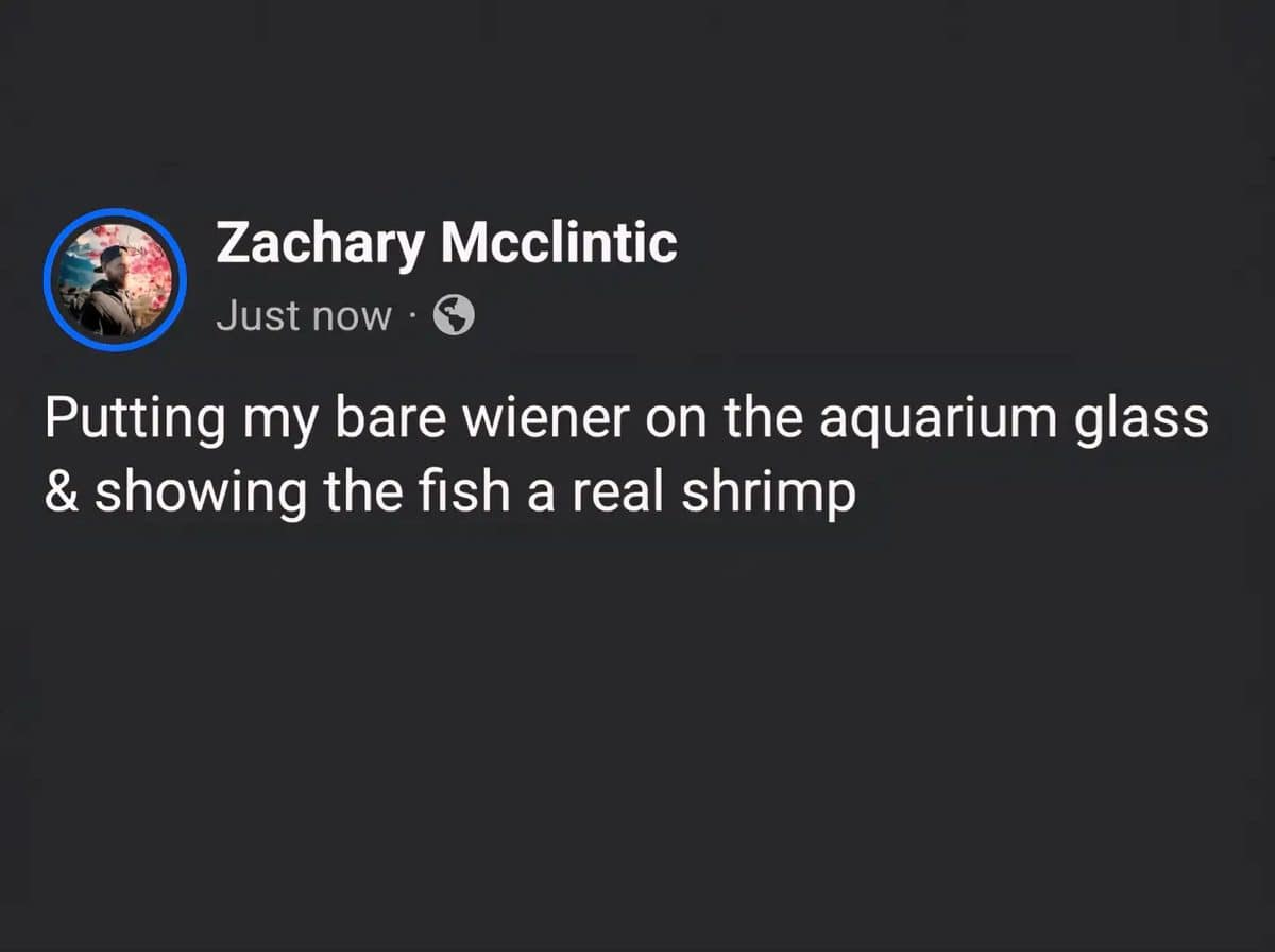 Facebook post joking about pressing against an aquarium glass to show the fish a shrimp.