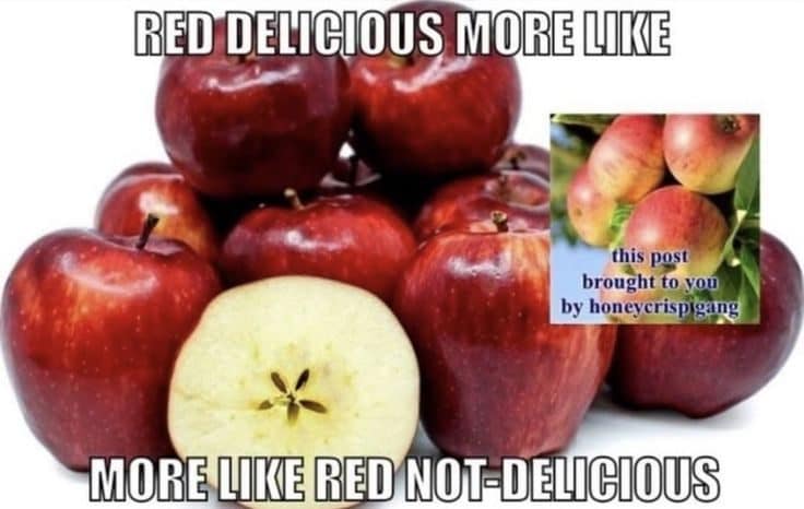 Pile of red apples with text calling Red Delicious apples red not-delicious instead.