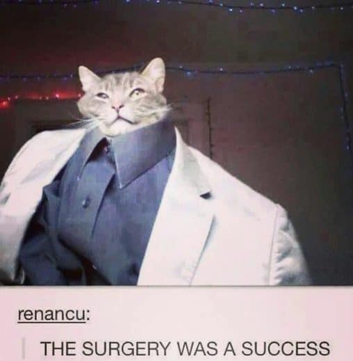 Cat head edited onto a man in a suit, captioned the surgery was a success