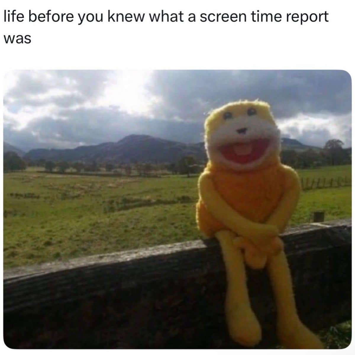 Yellow puppet relaxing on a fence in the countryside, life before screen time reports