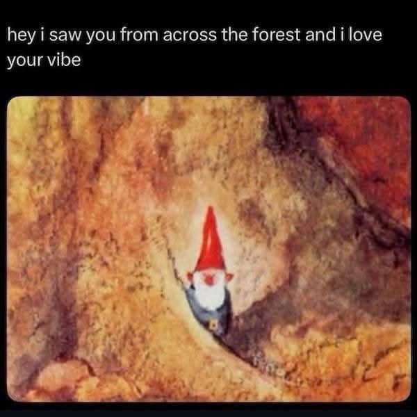 Tiny garden gnome hidden in a forest rock crevice, captioned I love your vibe