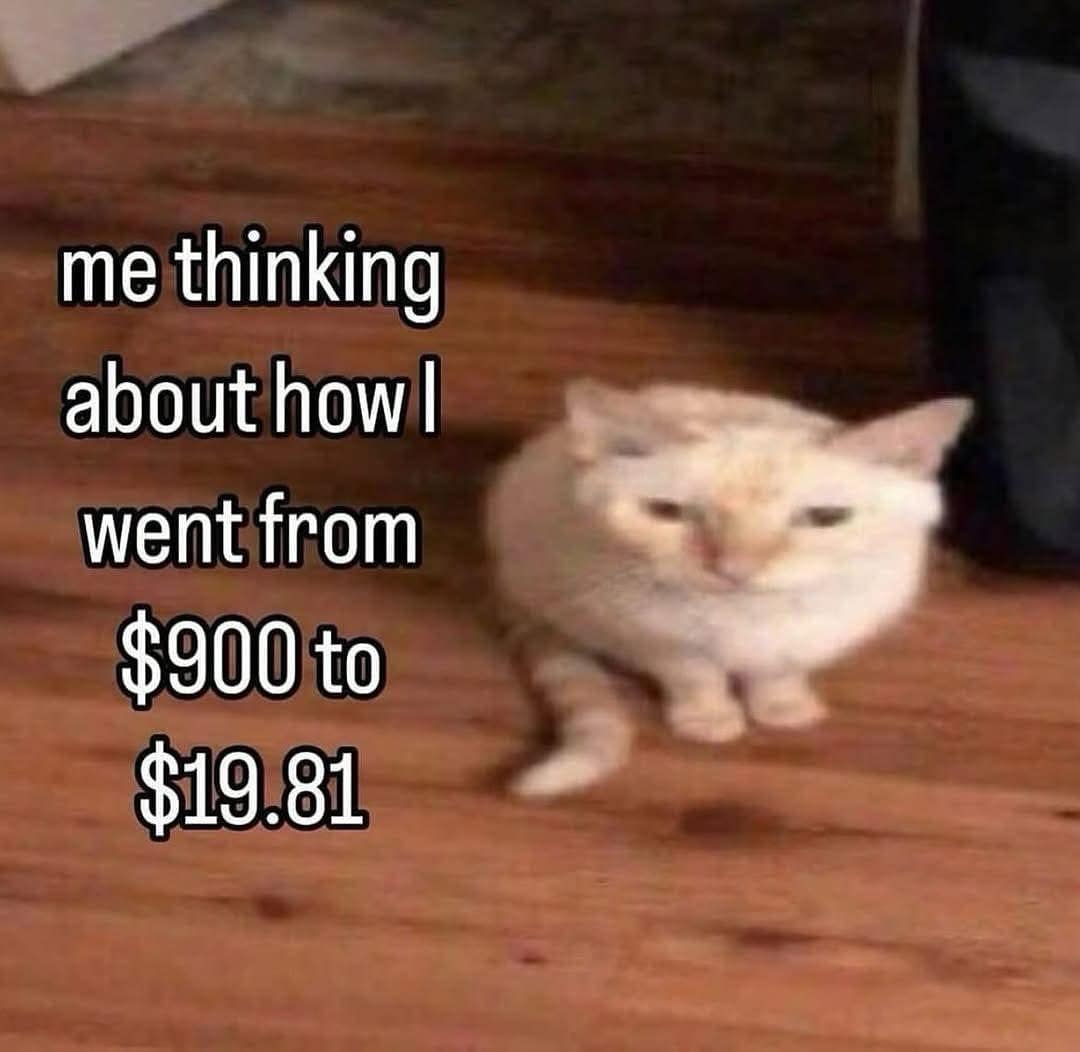 Sad cat walking across the floor in a meme dump joke about going from $900 to $19.81