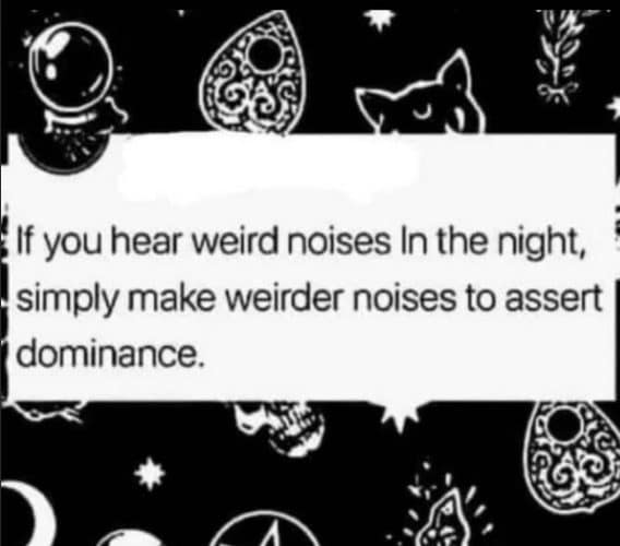 Spooky text advising that weird noises at night should be answered with weirder noises