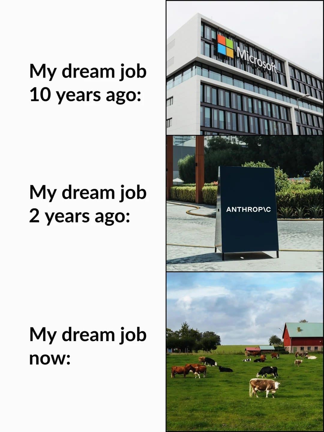 Dream job progression from a Microsoft office to an Anthropic sign to a cow pasture
