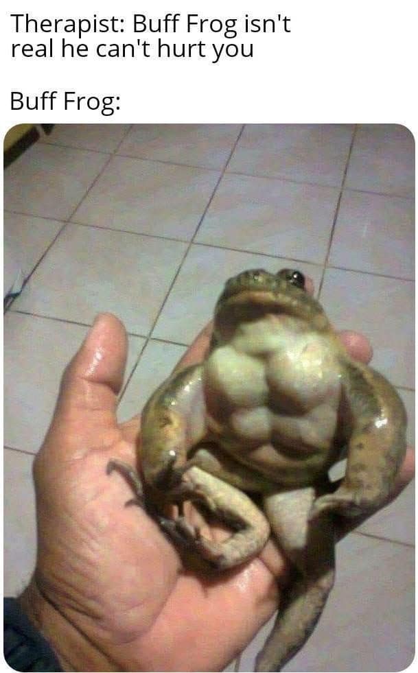 Ridiculously muscular frog held in a hand, the meme dump closer Buff Frog