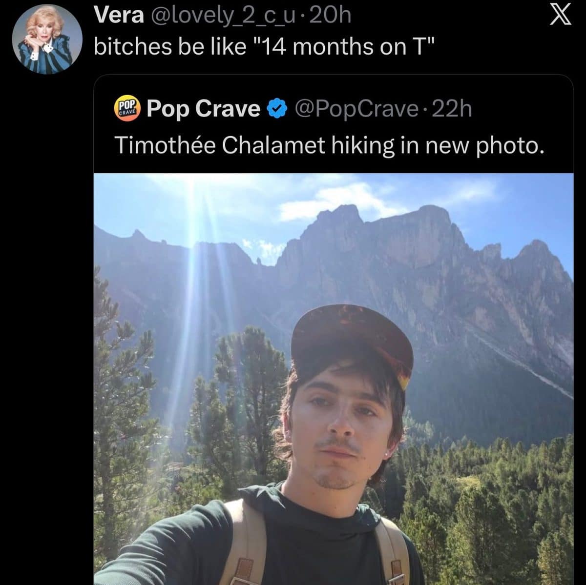 Tweet joking about Timothee Chalamet's hiking selfie with a crude caption