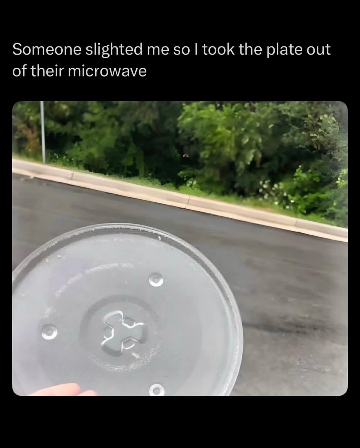 Hand holding a microwave turntable plate outside, taken from a rival's microwave in this meme dump