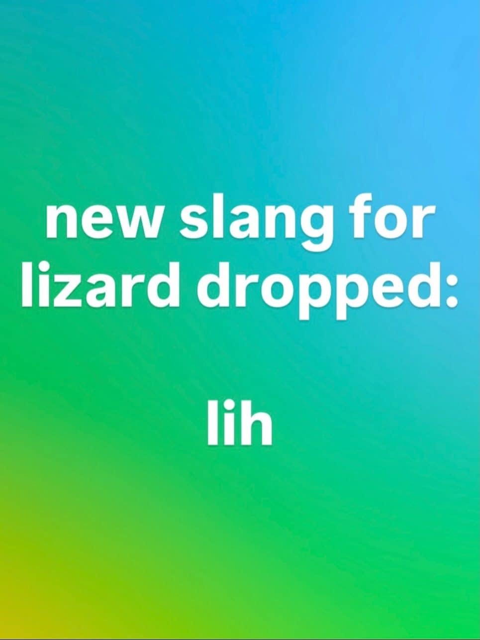 Bright gradient background with text announcing new slang for lizard dropped: lih.