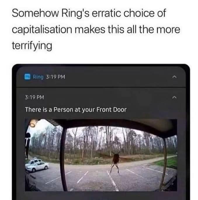 Ring doorbell alert announcing a Person at the door while a deer walks upright.