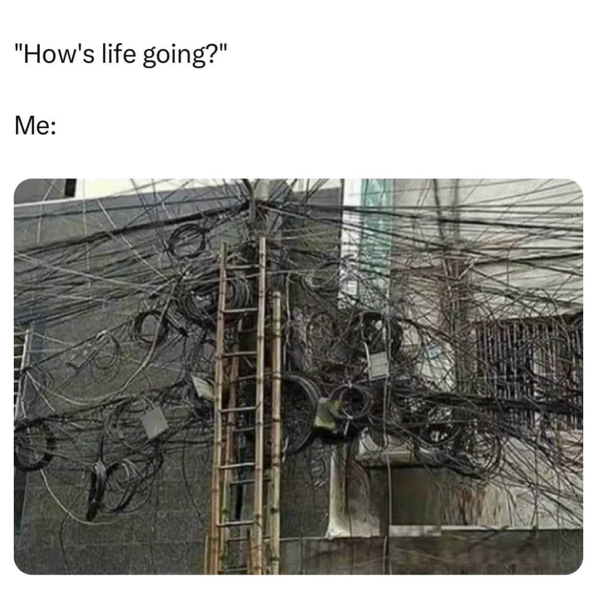 A meme dump opener showing a wall buried in tangled cables, labeled how's life going.