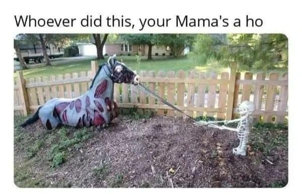 Halloween yard display of a skeleton walking a zombie horse on a leash by a fence.