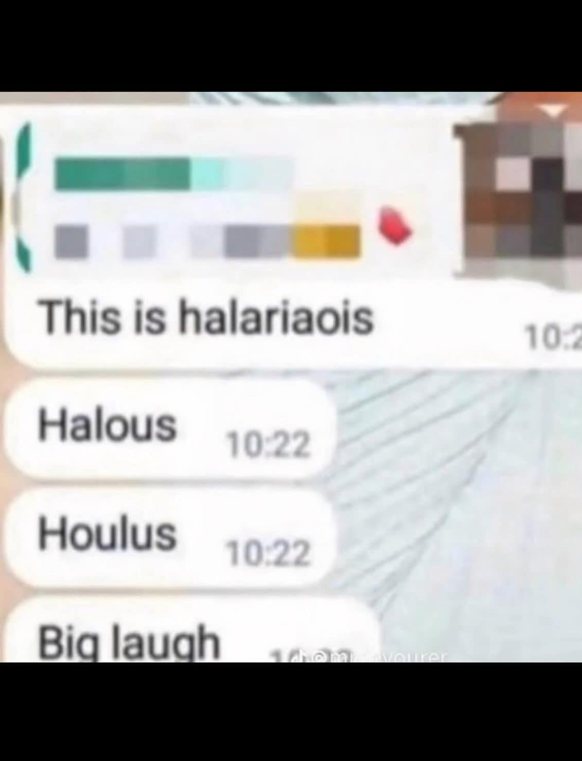 Blurry chat messages reading halariaois, halous, houlus, and big laugh in escalating misspellings.